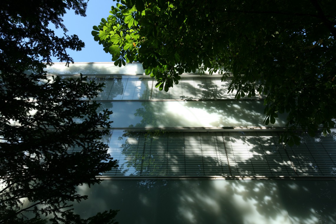 Erweiterung&#x20;Gymnasium&#x20;Gallusstra&#x00DF;e&#x20;-&#x20;Ansicht&#x20;Bestand