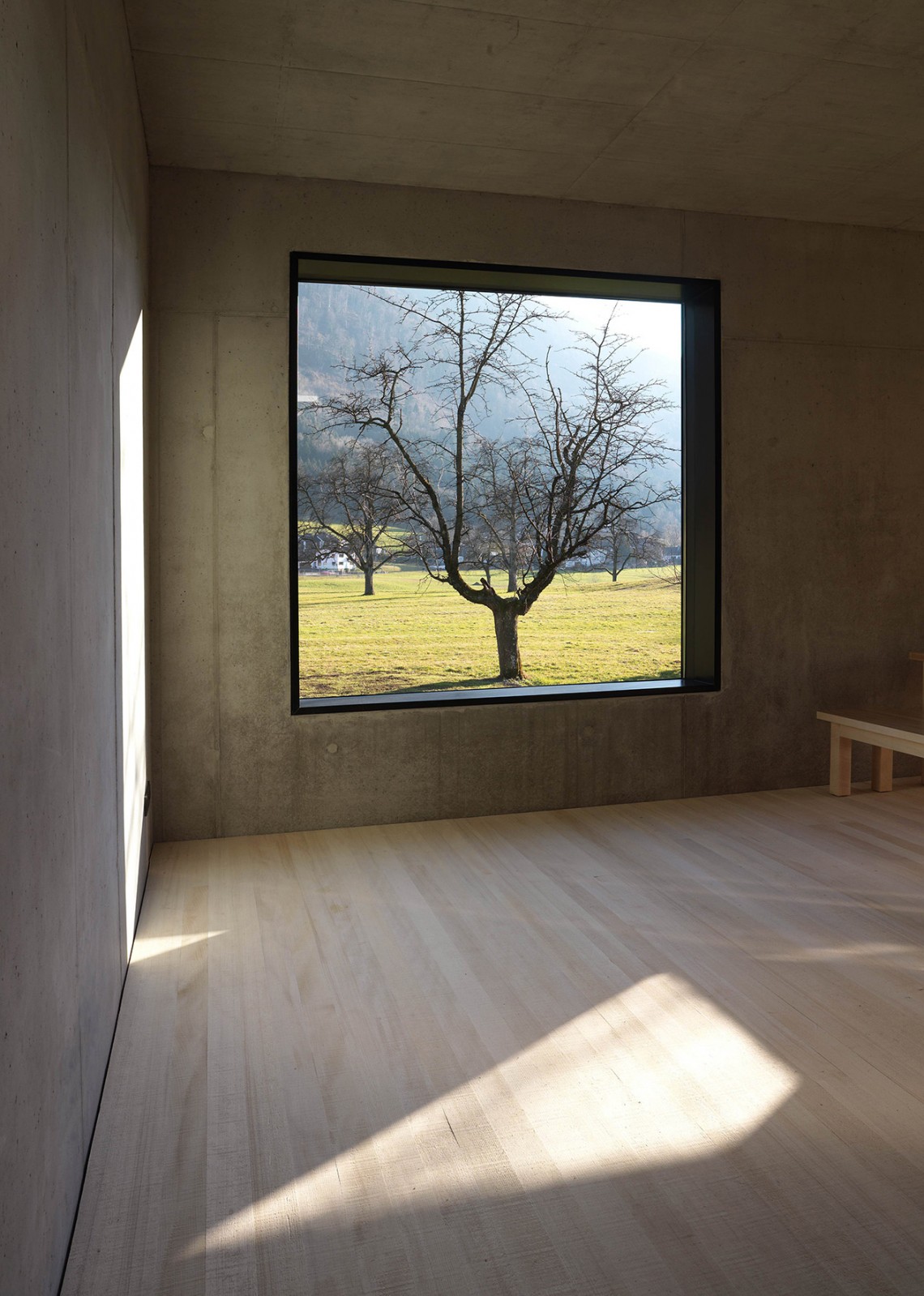 Gr&#x00FC;nes&#x20;Haus&#x20;-&#x20;Ausblick&#x20;auf&#x20;Baum