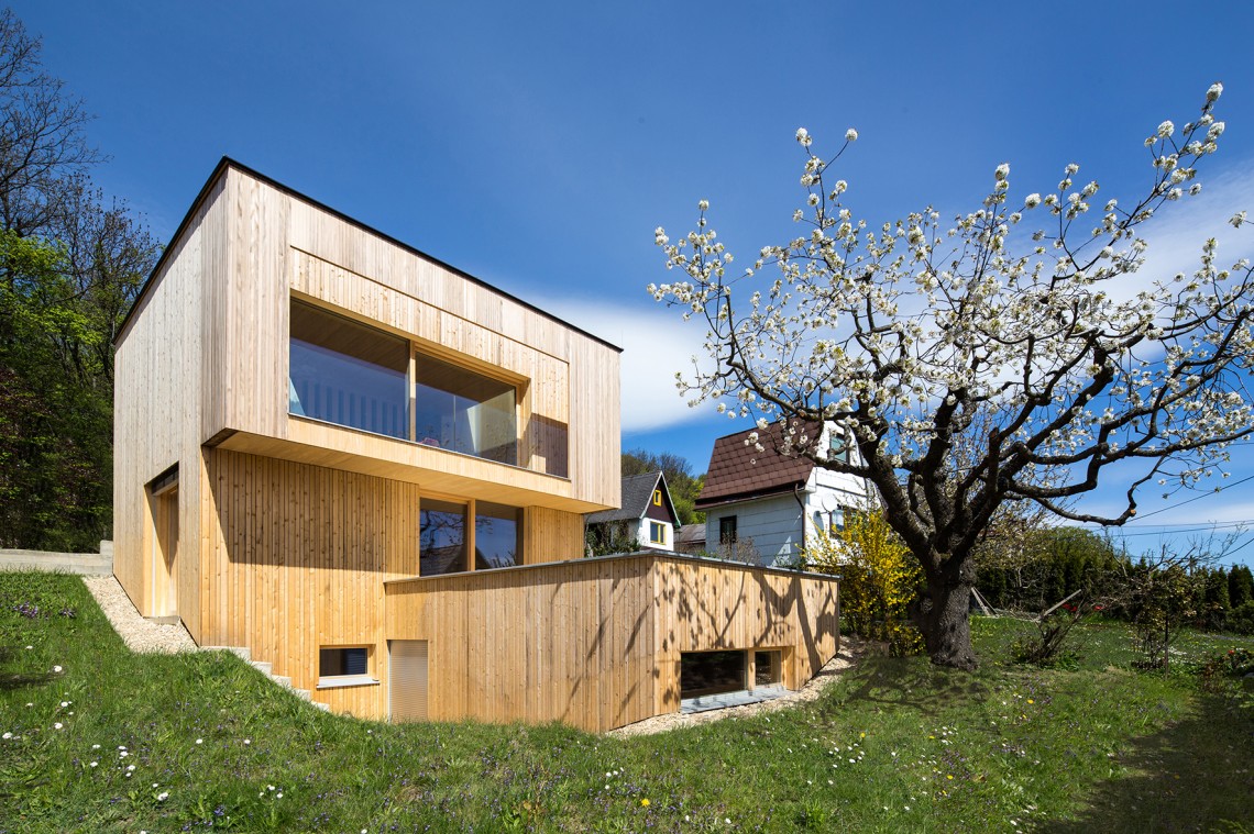 Haus&#x20;mit&#x20;Kirschbaum&#x20;in&#x20;Wien&#x20;-&#x20;Anischt&#x20;Garten