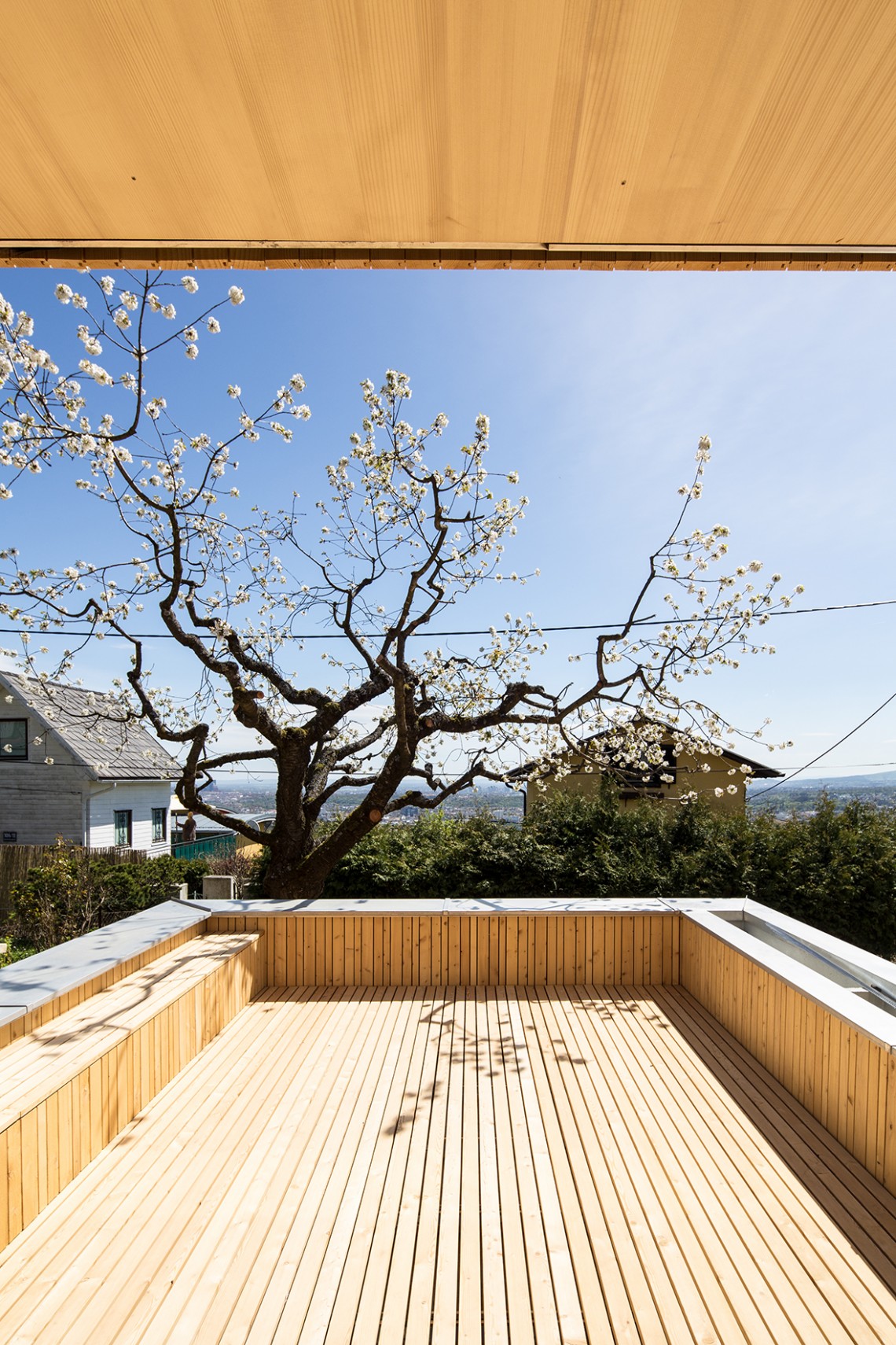 Haus&#x20;mit&#x20;Kirschbaum&#x20;in&#x20;Wien&#x20;-&#x20;Terrasse