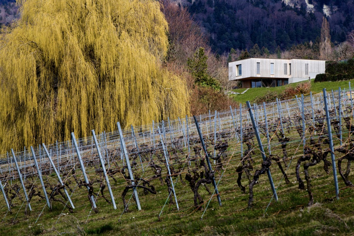 Haus&#x20;P&#x20;in&#x20;Lochau&#x20;-&#x20;Gesamtansicht